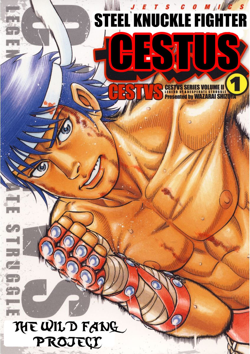 Steel Knuckle Fighter Cestus