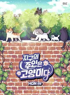 Cats Own The World Cats Own The World