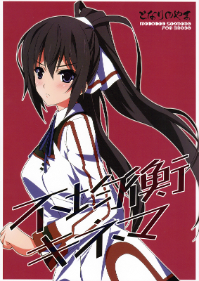 Infinite Stratos - Disparity Show (Doujinshi)