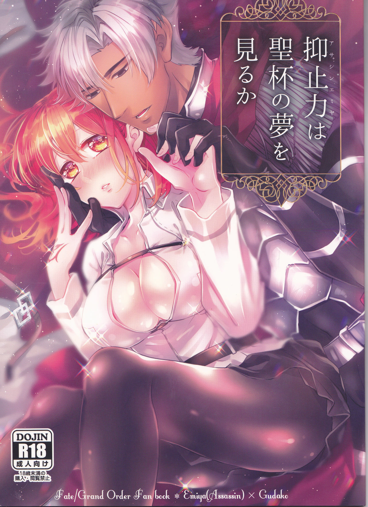 Assassin Emiya wa Seihai no Yume o Miru ka (Fate/Grand Order)