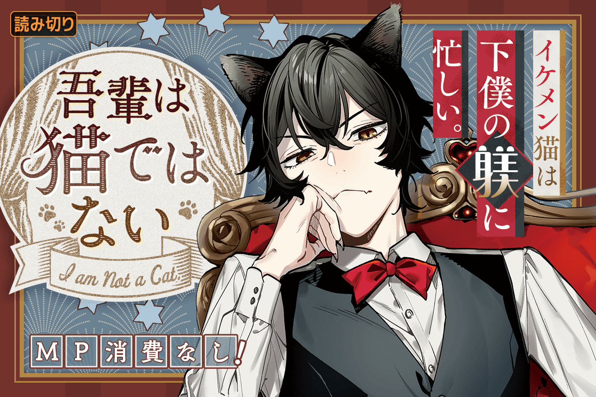 I'm Not a Cat I'm Not a Cat