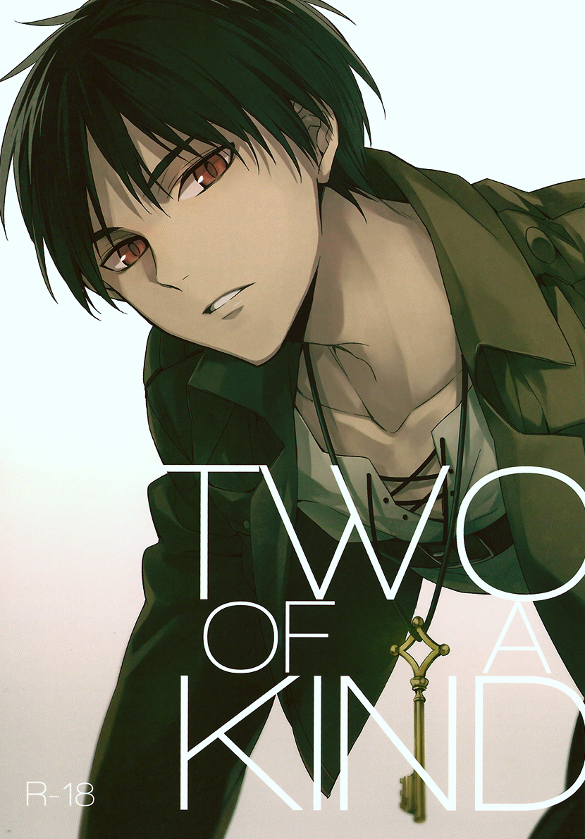 Shingeki no Kyojin - Two of a Kind (Doujinshi)