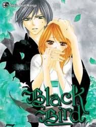 Black bird Black bird