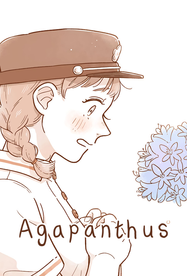 Agapanthus