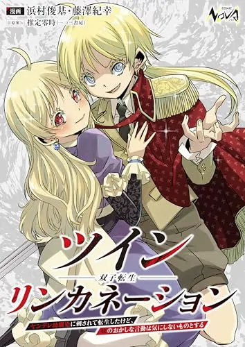 Twin Reincarnation Twin Reincarnation