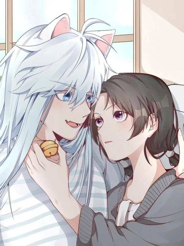 Kitty Boy Kitty Boy