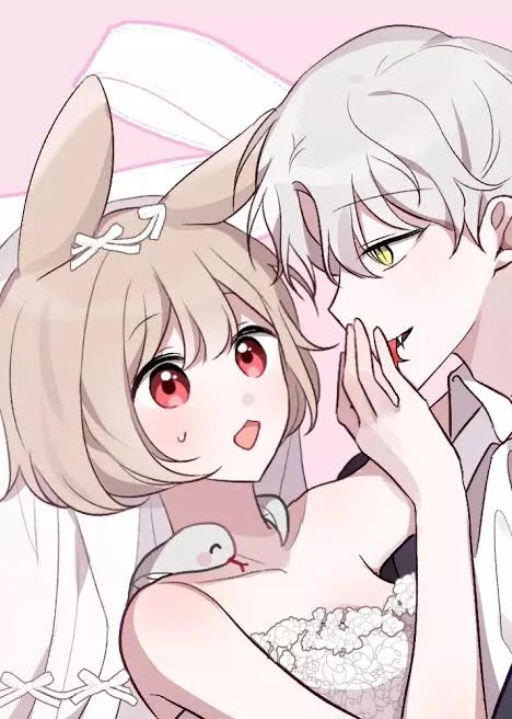 Can a Snake and Rabbit Get Married? Can a Snake and Rabbit Get Married?