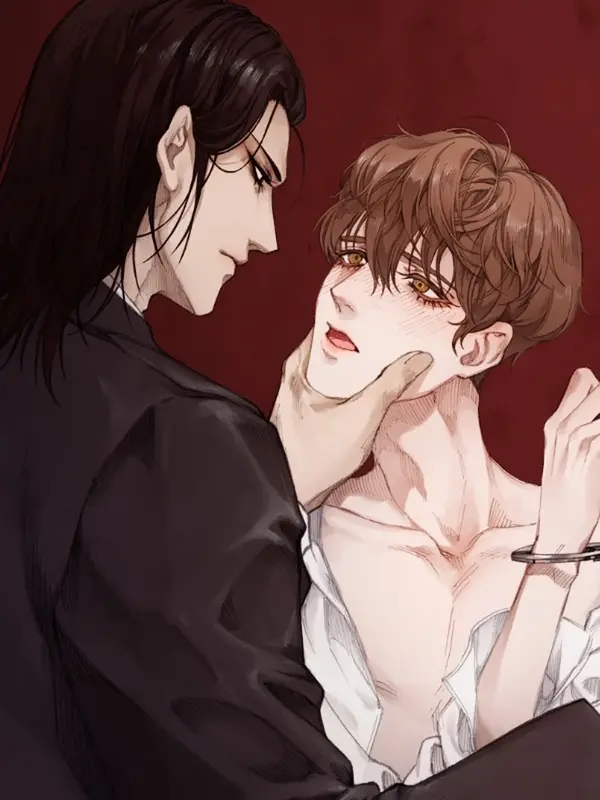 디스파르