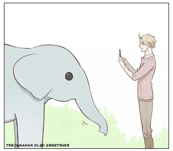 Tinylephant Loveyou Tinylephant Loveyou