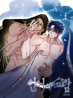 Mermaid's Cradle
