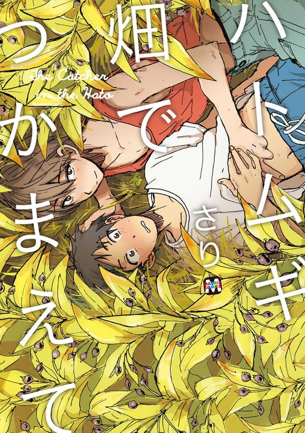 Hatomugi Hatake de Tsukamaete Hatomugi Hatake de Tsukamaete