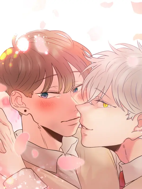 애정보이스