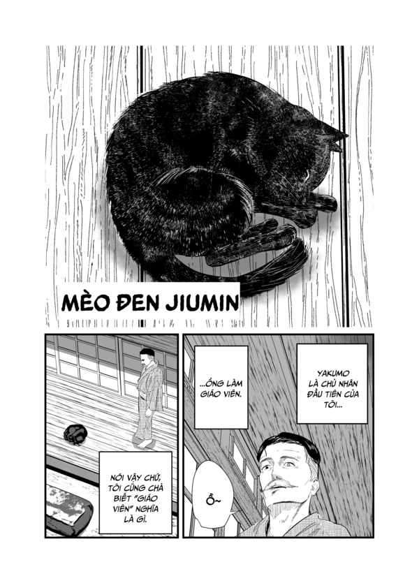 Mèo đen Jiumin