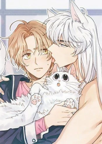 MY ONE AND ONLY CAT MY ONE AND ONLY CAT